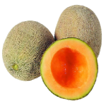 cantaloupe