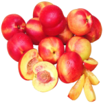 nectarine2