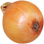 onion