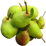 pear